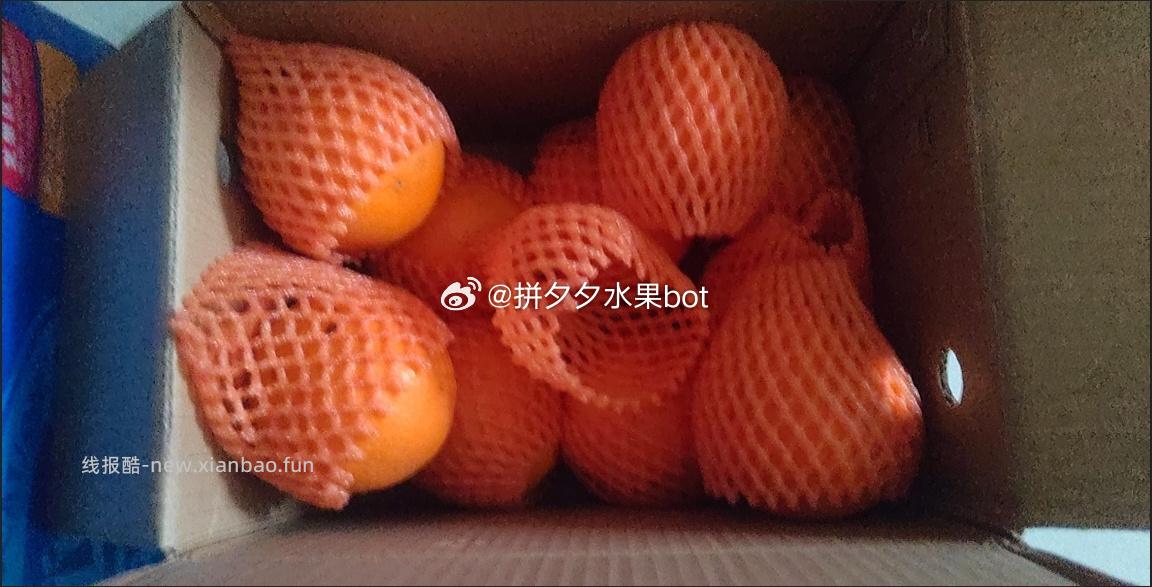 鲜橙伦晚脐橙5斤带箱 8.8元 - 线报酷