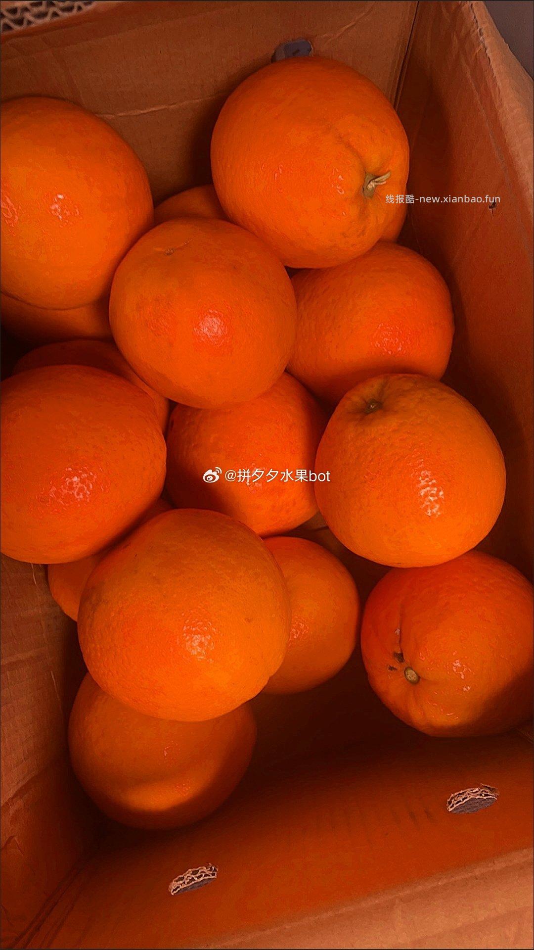 奉节脐橙10斤 13.9元 - 线报酷