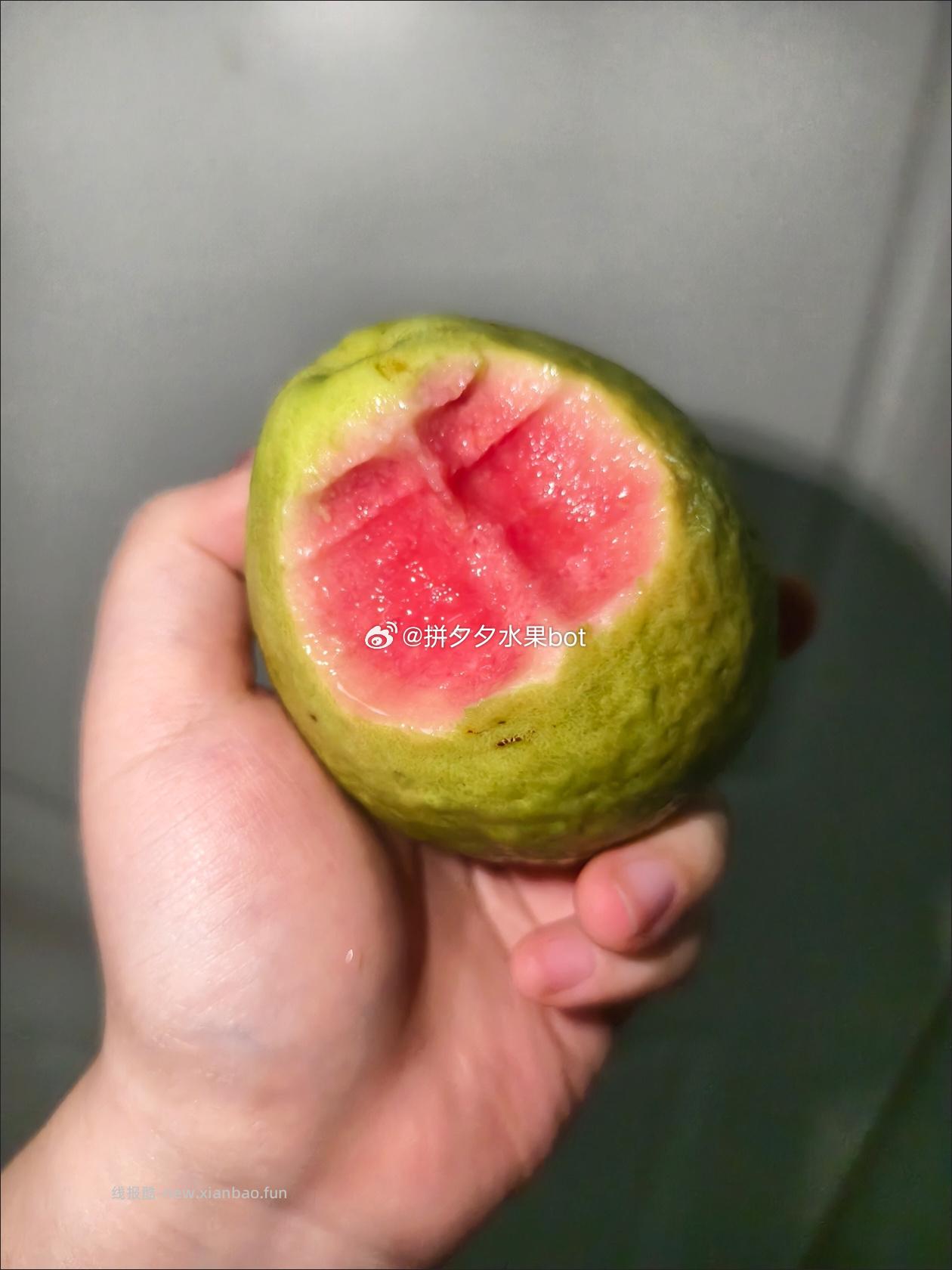 红心芭乐5斤 28.8元 - 线报酷