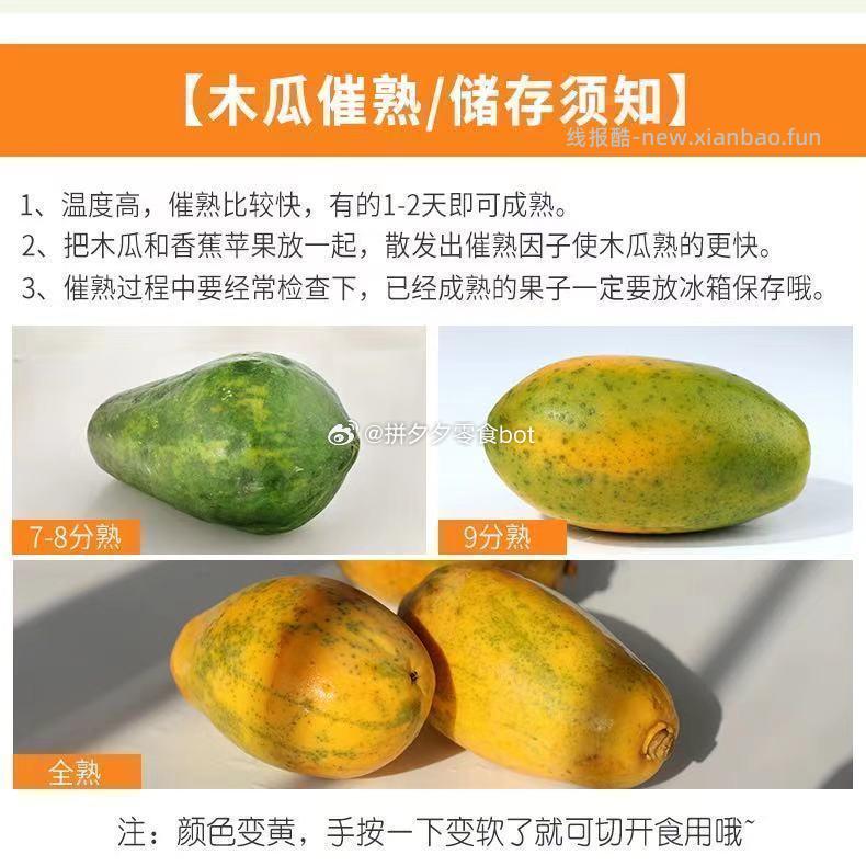 木瓜3斤净重 12.9元 - 线报酷