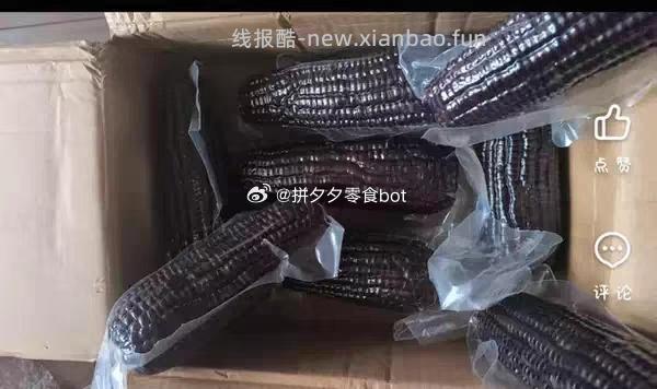 黑糯玉米10根 14.89元 - 线报酷