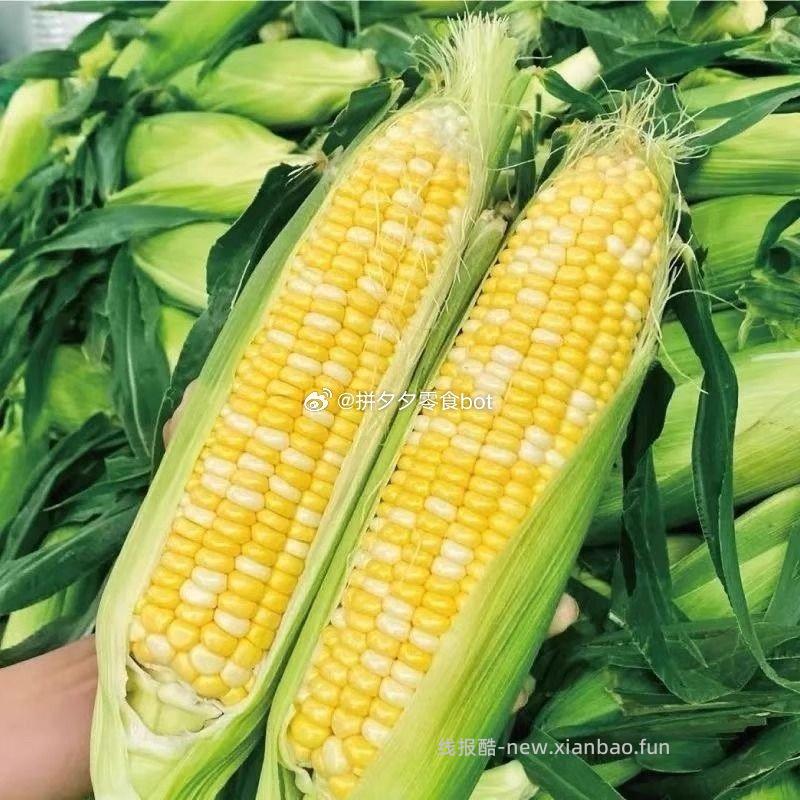 金银双色水果玉米带箱3斤 8.55元，金银双色水果玉米带箱5斤 10.55元 - 线报酷