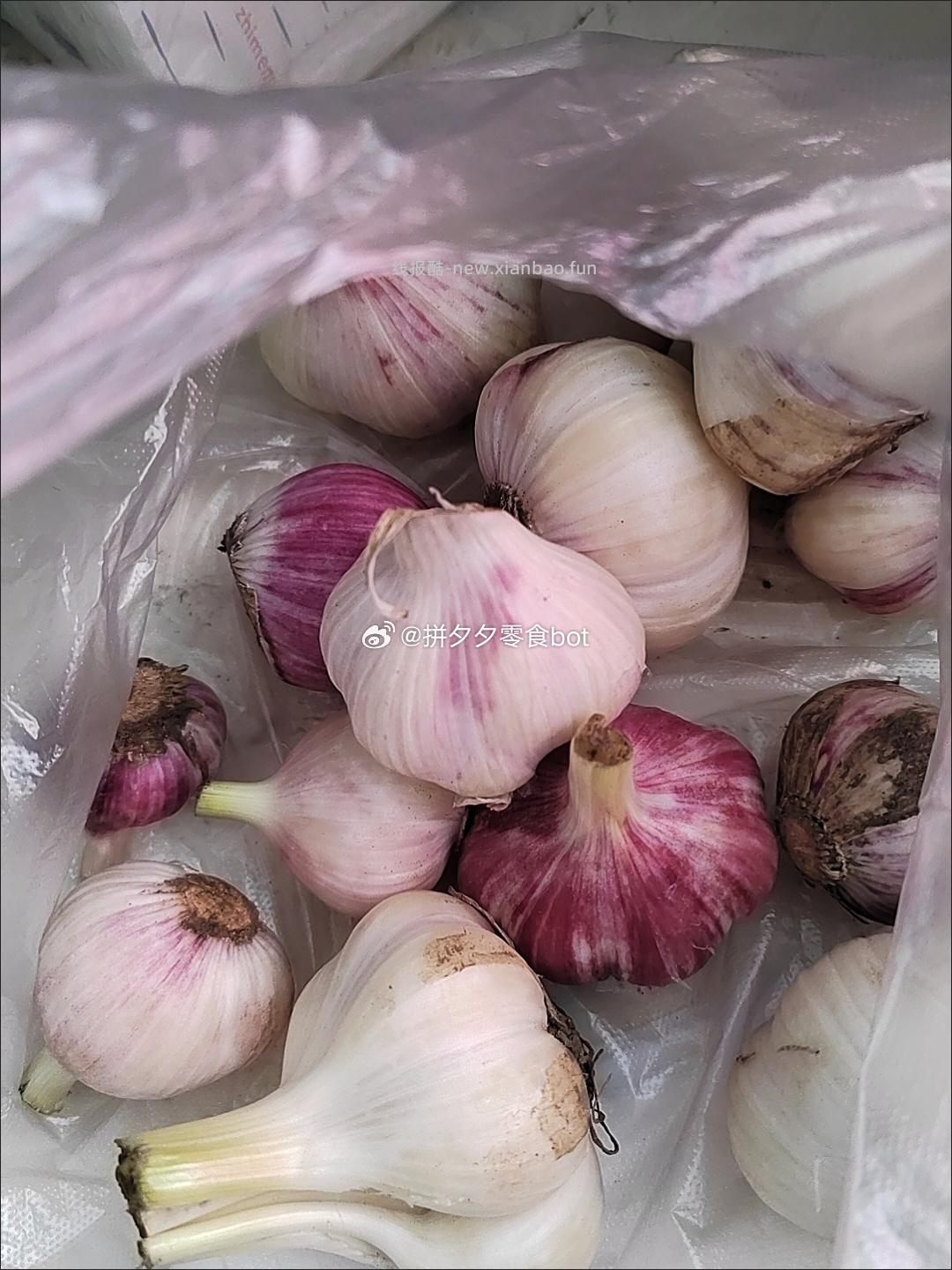 紫皮大蒜5斤 10.8元 - 线报酷