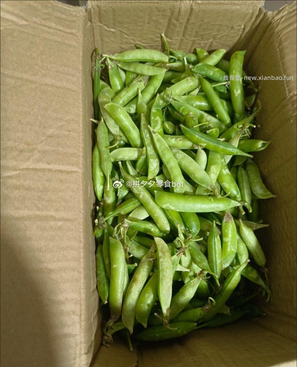 豌豆荚净重5斤 11.8元 - 线报酷