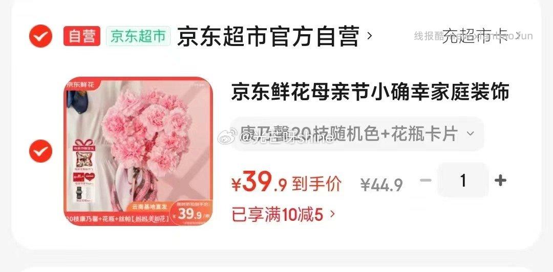 京东鲜花母亲节小确幸家庭装饰康乃馨20枝+花瓶+卡片 39.9元 - 线报酷