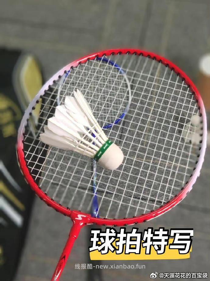 迪科斯羽毛球拍2支+3球+1包 13.91元 - 线报酷