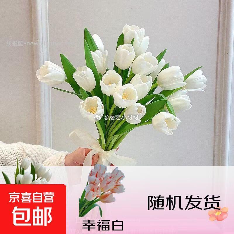 京喜郁金香鲜花随机色10枝 1元 - 线报酷