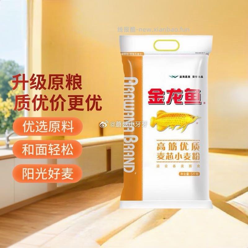 金龙鱼高筋优质麦芯小麦粉10斤 13.5元 - 线报酷
