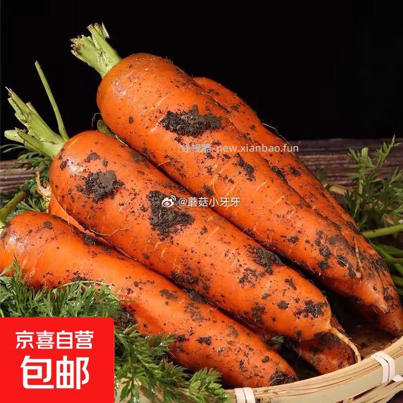 京东京喜带泥胡萝卜1斤含箱 0.99元 - 线报酷