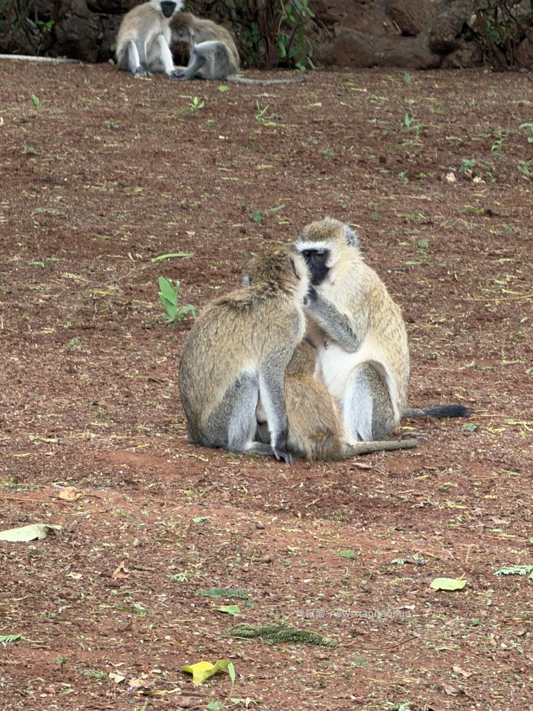 飞行16h 6000km 从北京出发经由阿布扎比 - 线报酷