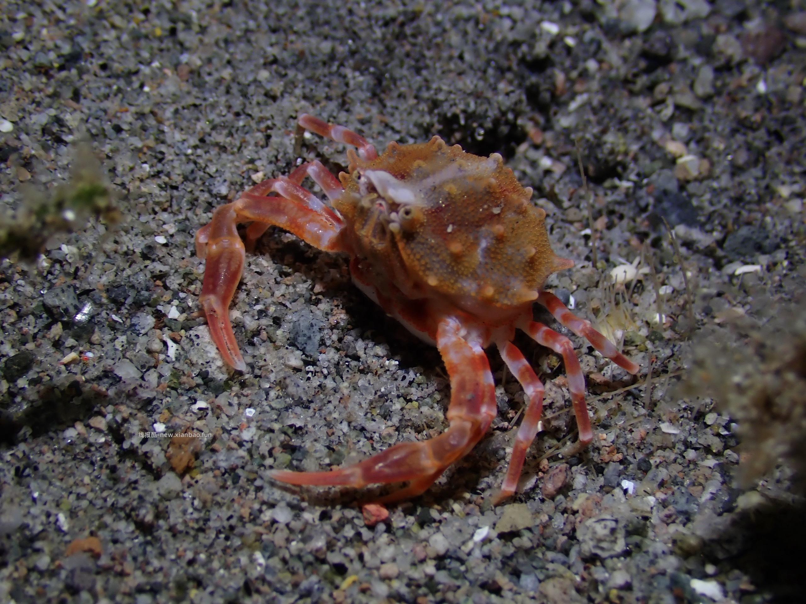 杜马盖地2潜 潜店门口下的 由于今天从锡基霍尔穿梭到杜马盖地 - 线报酷 杜马盖地2潜 潜店门口下的 由于今天从锡基霍尔穿梭到杜马盖地 - 线报酷