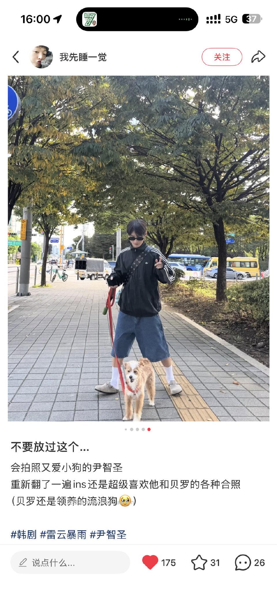 对喜欢小狗狗的人毫无抵抗力 - 线报酷