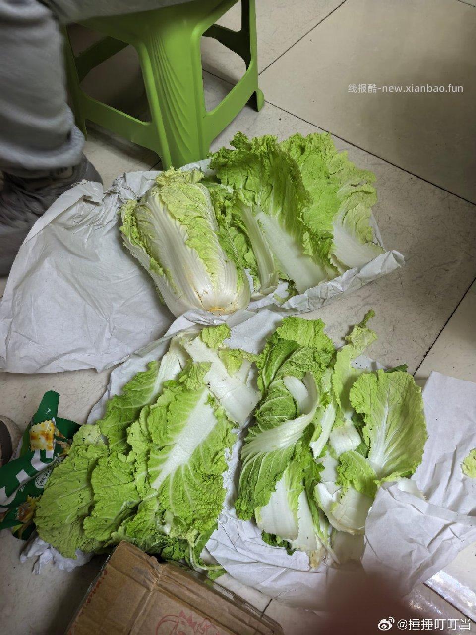 jd直播间的大白菜真是个天才。硬送老帮子凑斤称哈哈哈哈。 - 线报酷