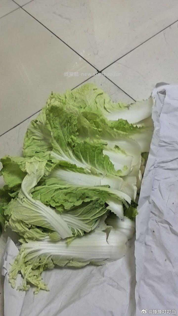 jd直播间的大白菜真是个天才。硬送老帮子凑斤称哈哈哈哈。 - 线报酷