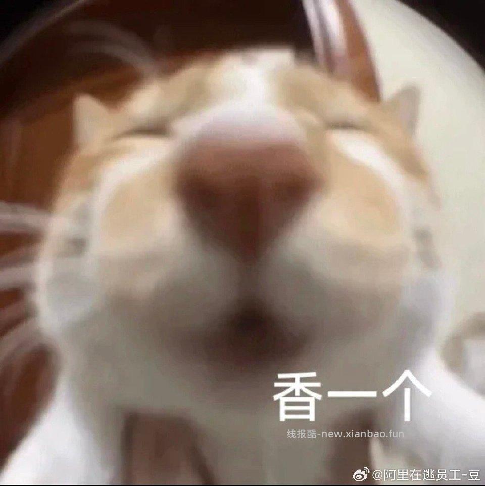 预约包 八点后可以去 ​​​ - 线报酷