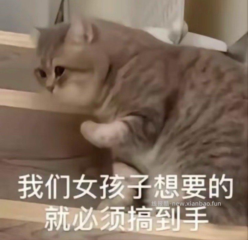 ️️️Ppl没拍的赶紧五点截止别留到最后几分钟你做不完 - 线报酷