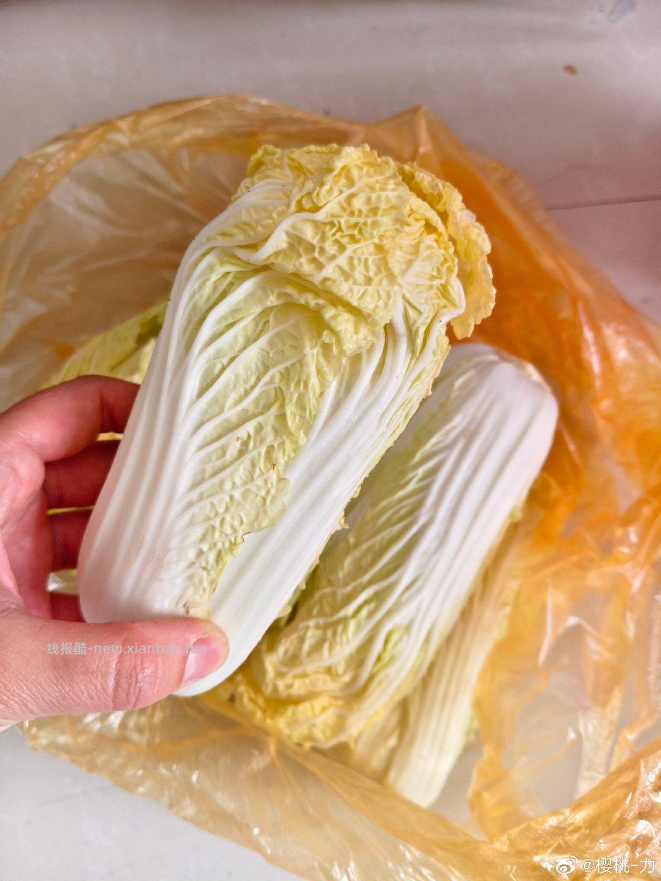 折不知道买哪个买娃娃菜刚收到很新鲜可以叠bbj - 线报酷