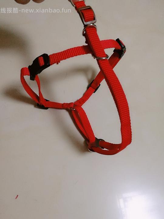 讨论/【教程】进阶版教程——如何将不到10块钱的牵引绳改造成100+的科学牵引绳 - 线报酷 讨论/【教程】进阶版教程——如何将不到10块钱的牵引绳改造成100+的科学牵引绳 - 线报酷