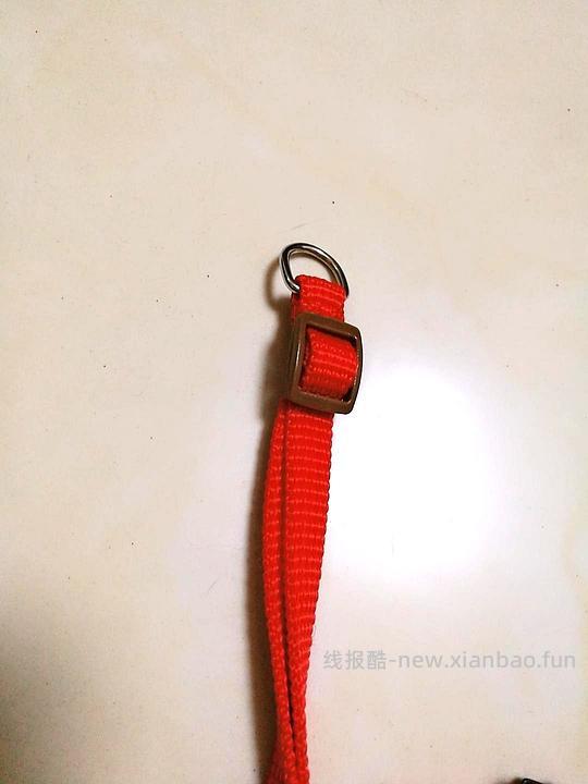 讨论/【教程】进阶版教程——如何将不到10块钱的牵引绳改造成100+的科学牵引绳 - 线报酷 讨论/【教程】进阶版教程——如何将不到10块钱的牵引绳改造成100+的科学牵引绳 - 线报酷