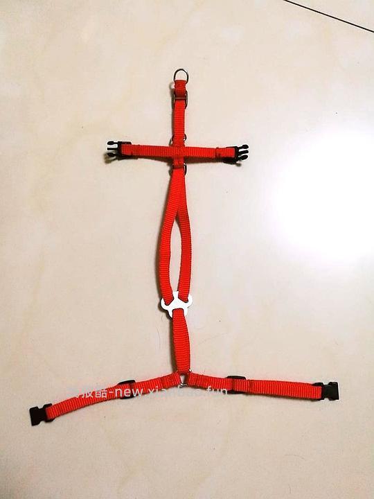 讨论/【教程】进阶版教程——如何将不到10块钱的牵引绳改造成100+的科学牵引绳 - 线报酷 讨论/【教程】进阶版教程——如何将不到10块钱的牵引绳改造成100+的科学牵引绳 - 线报酷