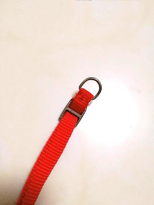 讨论/【教程】进阶版教程——如何将不到10块钱的牵引绳改造成100+的科学牵引绳 - 线报酷 讨论/【教程】进阶版教程——如何将不到10块钱的牵引绳改造成100+的科学牵引绳 - 线报酷