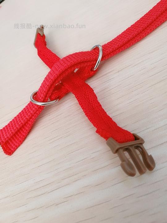 讨论/【教程】进阶版教程——如何将不到10块钱的牵引绳改造成100+的科学牵引绳 - 线报酷 讨论/【教程】进阶版教程——如何将不到10块钱的牵引绳改造成100+的科学牵引绳 - 线报酷