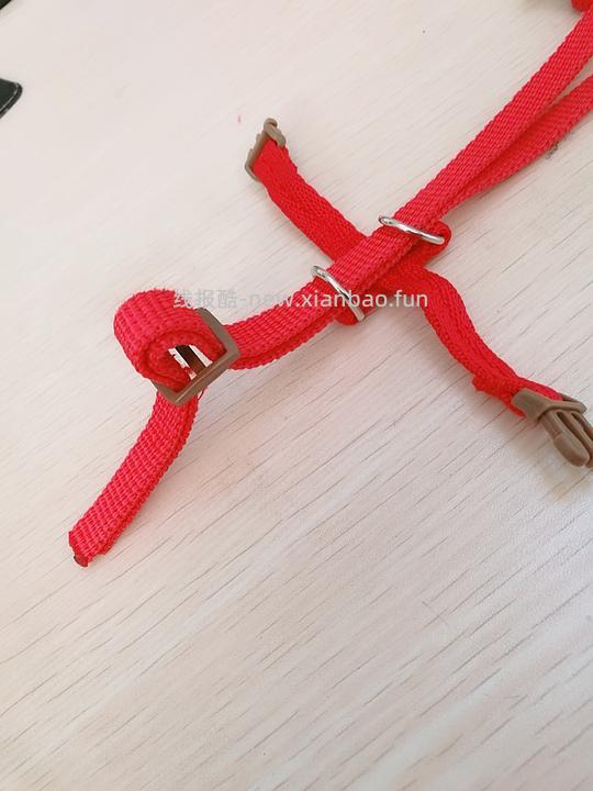 讨论/【教程】进阶版教程——如何将不到10块钱的牵引绳改造成100+的科学牵引绳 - 线报酷 讨论/【教程】进阶版教程——如何将不到10块钱的牵引绳改造成100+的科学牵引绳 - 线报酷