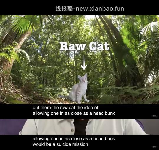 讨论/【科普】*更新:光头叔对于刷牙的看法*一些来自家有恶猫MC-Jackson Galaxy的猫咪行为困惑解答 - 线报酷 讨论/【科普】*更新:光头叔对于刷牙的看法*一些来自家有恶猫MC-Jackson Galaxy的猫咪行为困惑解答 - 线报酷