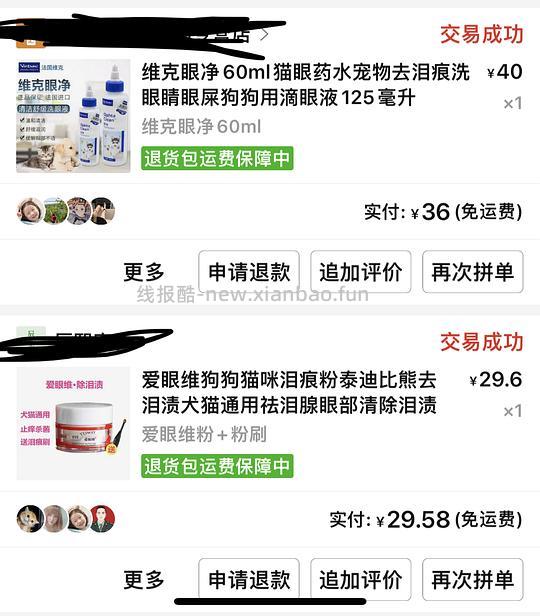 讨论/【科普】手把手教你解决猫咪泪痕!日常眼睛清理!!(加菲) - 线报酷 讨论/【科普】手把手教你解决猫咪泪痕!日常眼睛清理!!(加菲) - 线报酷