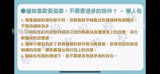 讨论/【科普】猫行为兽医师林子轩关于矫正猫咪乱尿、夜闹、咬人、猫关系不合、新猫进门、搬家、正确游戏方式等行为问题的合集 - 线报酷 讨论/【科普】猫行为兽医师林子轩关于矫正猫咪乱尿、夜闹、咬人、猫关系不合、新猫进门、搬家、正确游戏方式等行为问题的合集 - 线报酷