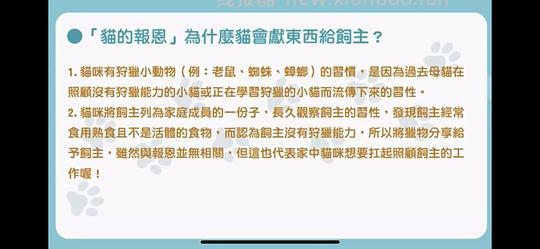 讨论/【科普】猫行为兽医师林子轩关于矫正猫咪乱尿、夜闹、咬人、猫关系不合、新猫进门、搬家、正确游戏方式等行为问题的合集 - 线报酷 讨论/【科普】猫行为兽医师林子轩关于矫正猫咪乱尿、夜闹、咬人、猫关系不合、新猫进门、搬家、正确游戏方式等行为问题的合集 - 线报酷