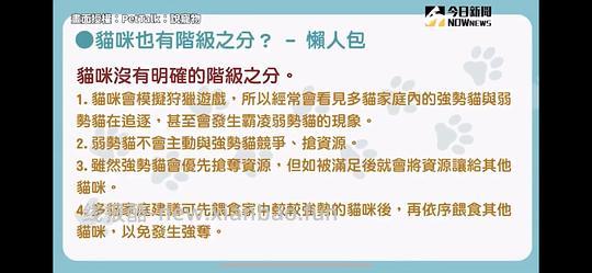 讨论/【科普】猫行为兽医师林子轩关于矫正猫咪乱尿、夜闹、咬人、猫关系不合、新猫进门、搬家、正确游戏方式等行为问题的合集 - 线报酷 讨论/【科普】猫行为兽医师林子轩关于矫正猫咪乱尿、夜闹、咬人、猫关系不合、新猫进门、搬家、正确游戏方式等行为问题的合集 - 线报酷