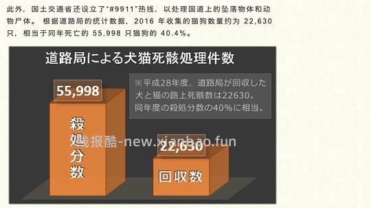 讨论/【科普】日本养猫科普网站关于为什么不能散养的文章 - 线报酷 讨论/【科普】日本养猫科普网站关于为什么不能散养的文章 - 线报酷