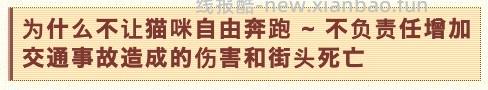 讨论/【科普】日本养猫科普网站关于为什么不能散养的文章 - 线报酷 讨论/【科普】日本养猫科普网站关于为什么不能散养的文章 - 线报酷