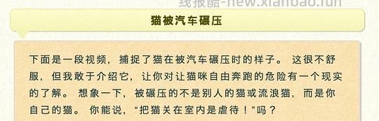 讨论/【科普】日本养猫科普网站关于为什么不能散养的文章 - 线报酷 讨论/【科普】日本养猫科普网站关于为什么不能散养的文章 - 线报酷