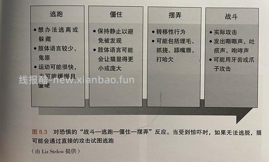 讨论/【科普】“可爱”照片背后的真相原来是这样的,关于猫咪应激需要知道的一些事 - 线报酷 讨论/【科普】“可爱”照片背后的真相原来是这样的,关于猫咪应激需要知道的一些事 - 线报酷