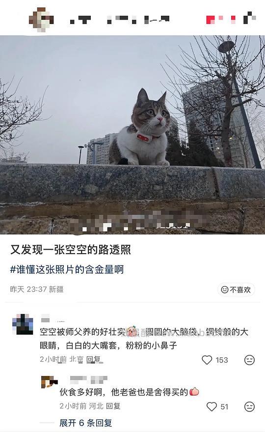 讨论/【科普】“可爱”照片背后的真相原来是这样的,关于猫咪应激需要知道的一些事 - 线报酷 讨论/【科普】“可爱”照片背后的真相原来是这样的,关于猫咪应激需要知道的一些事 - 线报酷