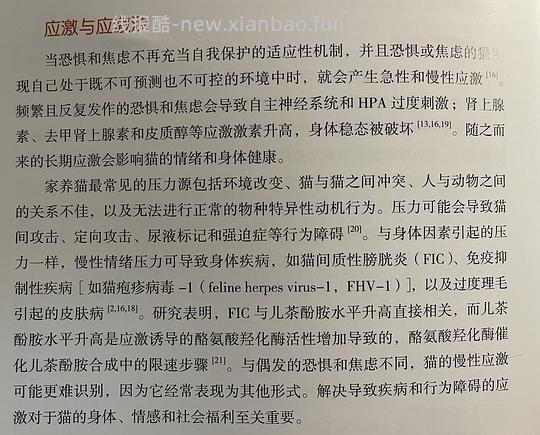 讨论/【科普】“可爱”照片背后的真相原来是这样的,关于猫咪应激需要知道的一些事 - 线报酷 讨论/【科普】“可爱”照片背后的真相原来是这样的,关于猫咪应激需要知道的一些事 - 线报酷