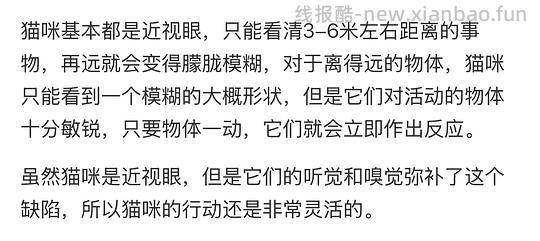 讨论/【科普】“可爱”照片背后的真相原来是这样的,关于猫咪应激需要知道的一些事 - 线报酷 讨论/【科普】“可爱”照片背后的真相原来是这样的,关于猫咪应激需要知道的一些事 - 线报酷