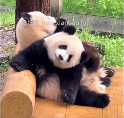 回馈我组,jd库博光学硅水凝胶月抛6片装好价69元一盒,到手11.5/片,凑单更便宜,超简单作业,近视姐妹进 - 线报酷 回馈我组,jd库博光学硅水凝胶月抛6片装好价69元一盒,到手11.5/片,凑单更便宜,超简单作业,近视姐妹进 - 线报酷
