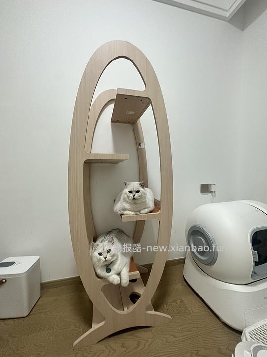 讨论/我必须分享一个超乎想象的猫爬架,进来猜多少钱 - 线报酷 讨论/我必须分享一个超乎想象的猫爬架,进来猜多少钱 - 线报酷