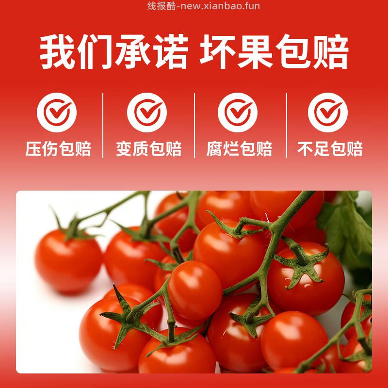 京鲜生山东阳光千禧小番茄净重450g*2盒 13.22元 - 线报酷 京鲜生山东阳光千禧小番茄净重450g*2盒 13.22元 - 线报酷