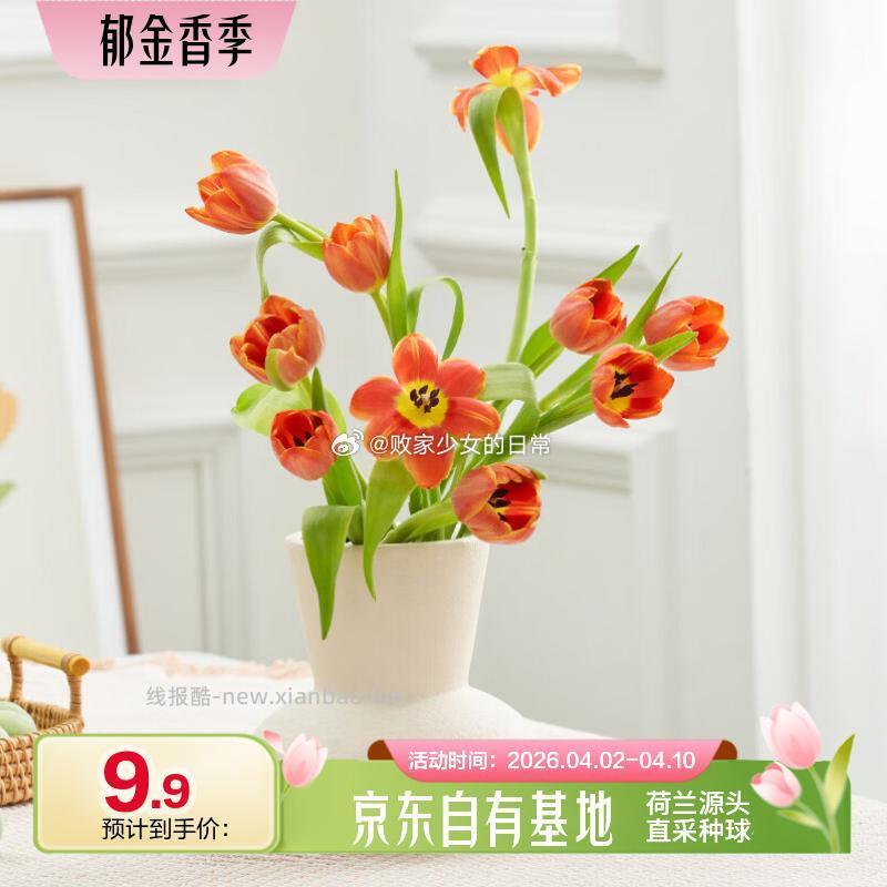 郁金香随机色10枝 9.9元,郁金香随机色20枝 17.9元 - 线报酷 郁金香随机色10枝 9.9元,郁金香随机色20枝 17.9元 - 线报酷