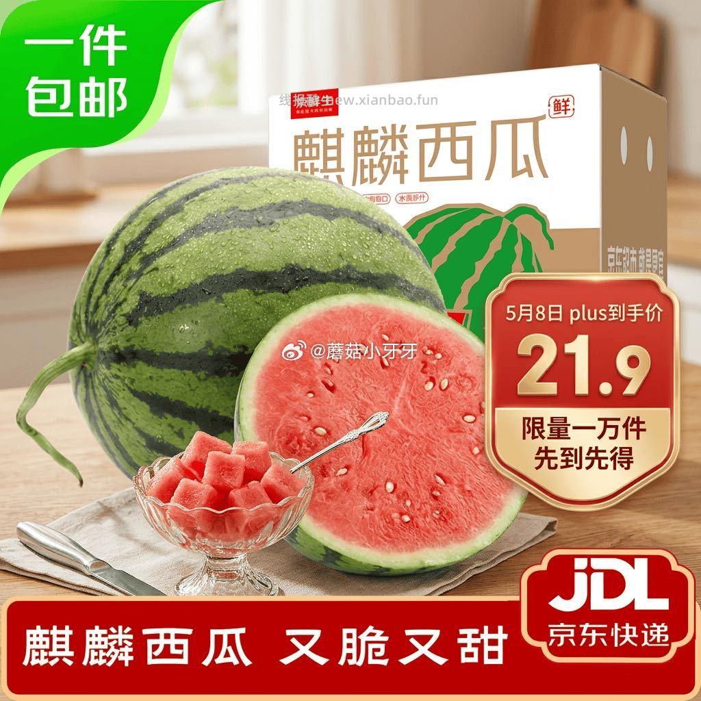 京鲜生无籽麒麟瓜西瓜1粒装单果5-7斤 10.62元 - 线报酷 京鲜生无籽麒麟瓜西瓜1粒装单果5-7斤 10.62元 - 线报酷
